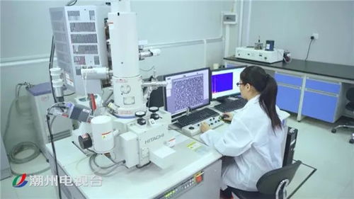 聚焦潮州高質量發展 抓創新促轉型 做強做優實體經濟