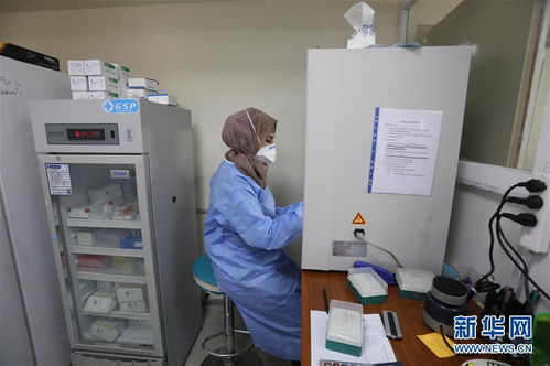 通訊 高溫與疫情下,中國援建實驗室在伊拉克的堅守